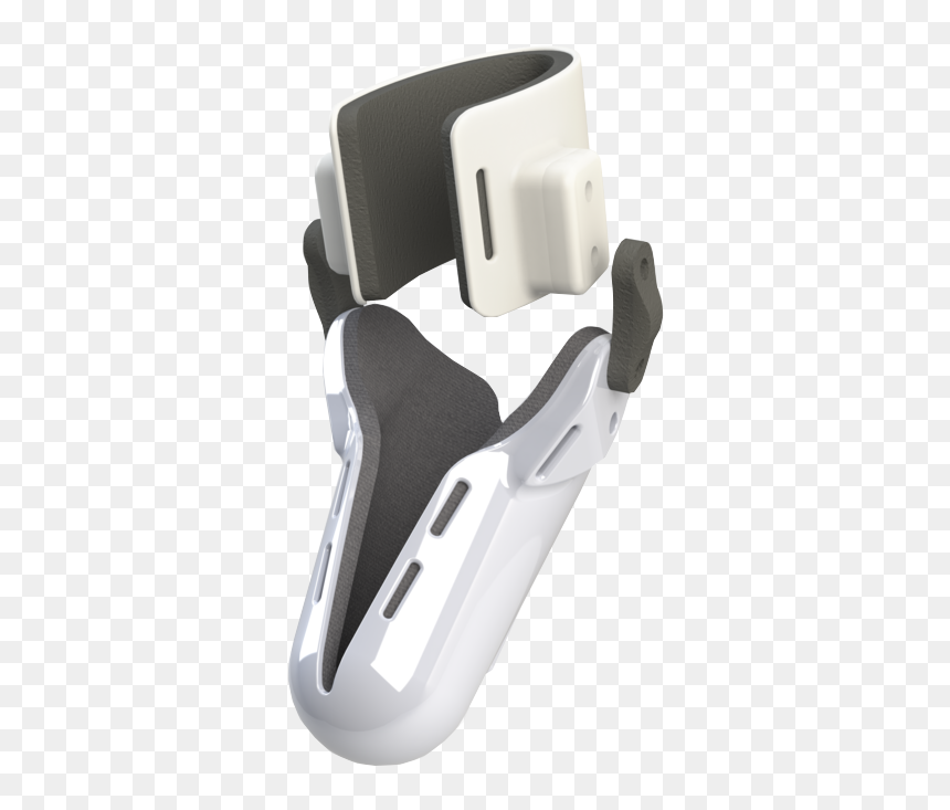 Belt, HD Png Download - dog belt png