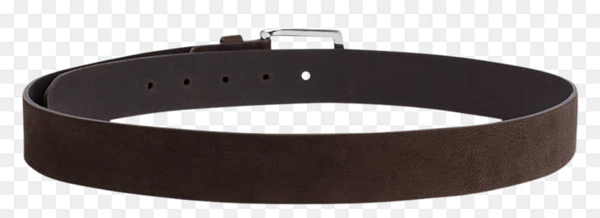 イブ サン ローラン ベルト メンズ, HD Png Download - dog belt png