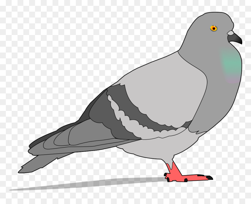 Pigeon Clipart, HD Png Download - pigeons flying png