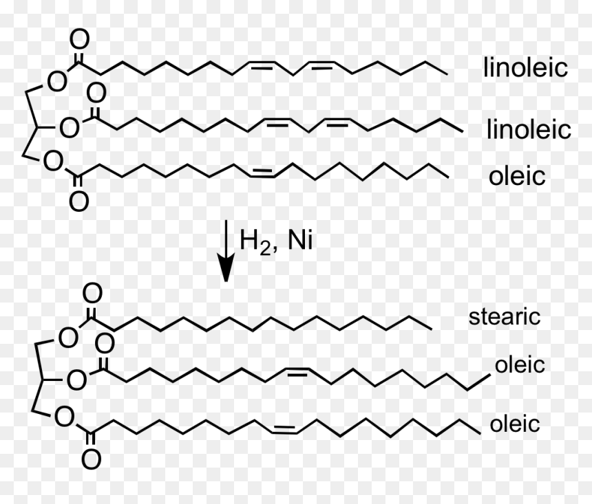 File - H2formargerin - Hydrogenated Vegetable Oil Reaction, HD Png Download - best quotes png