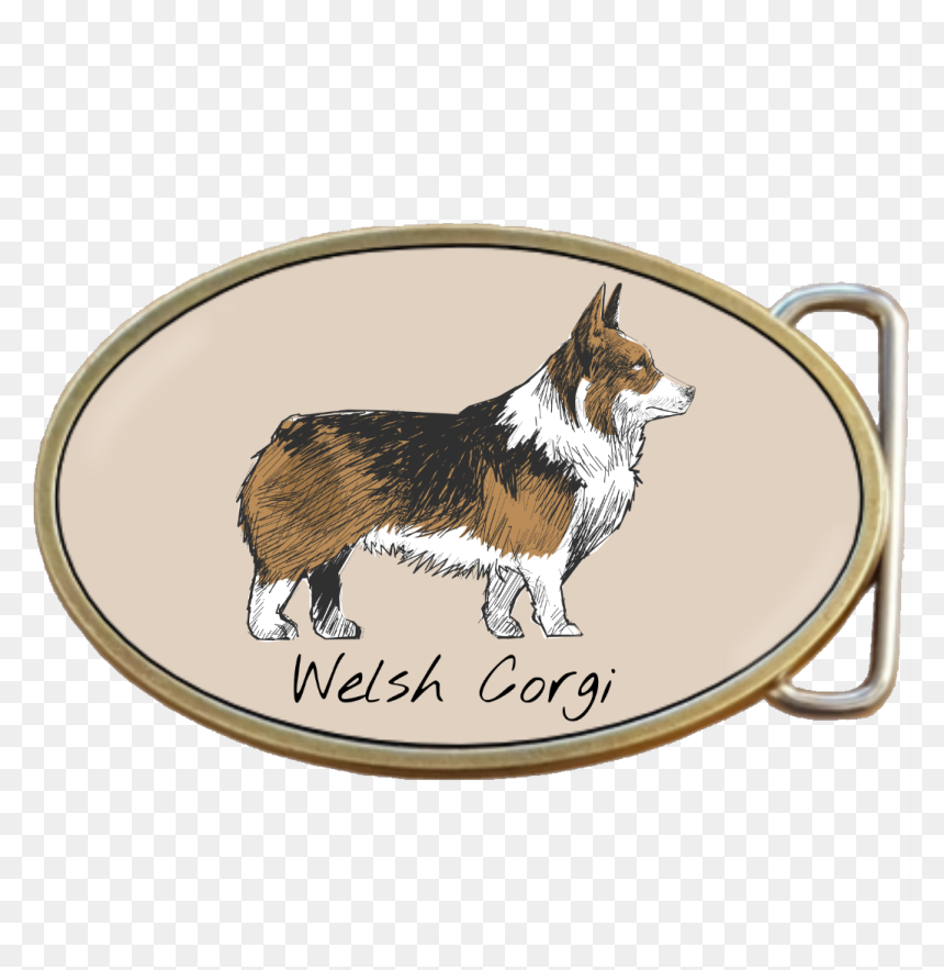 Shetland Sheepdog, HD Png Download - dog belt png