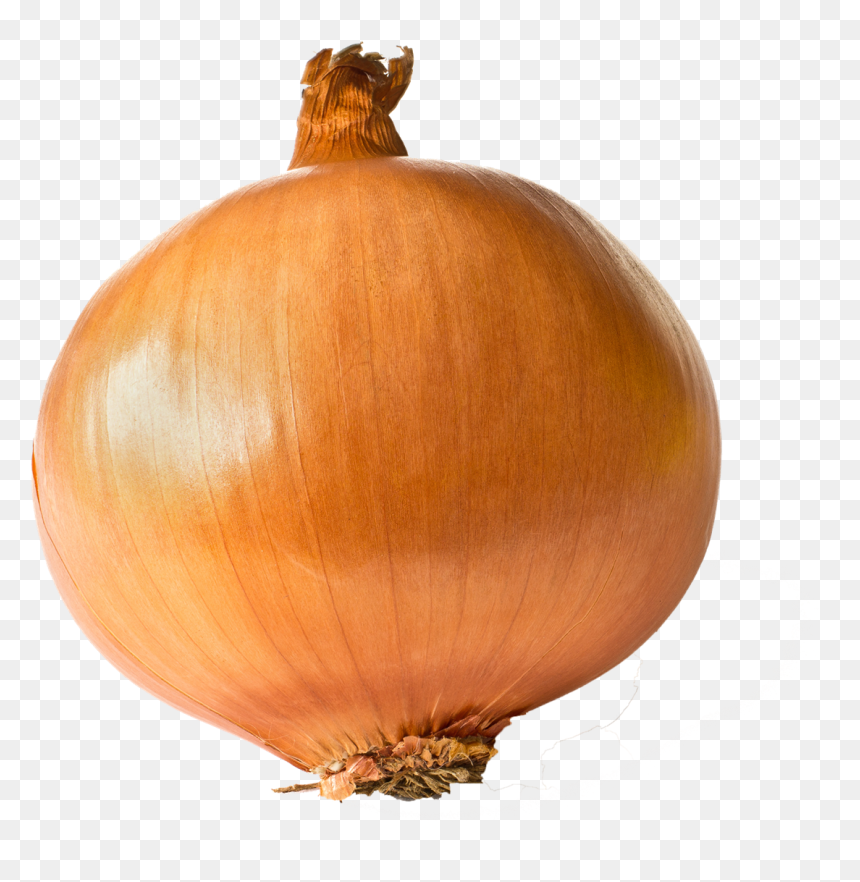 Onion Free Transparent Images, HD Png Download - onion png images