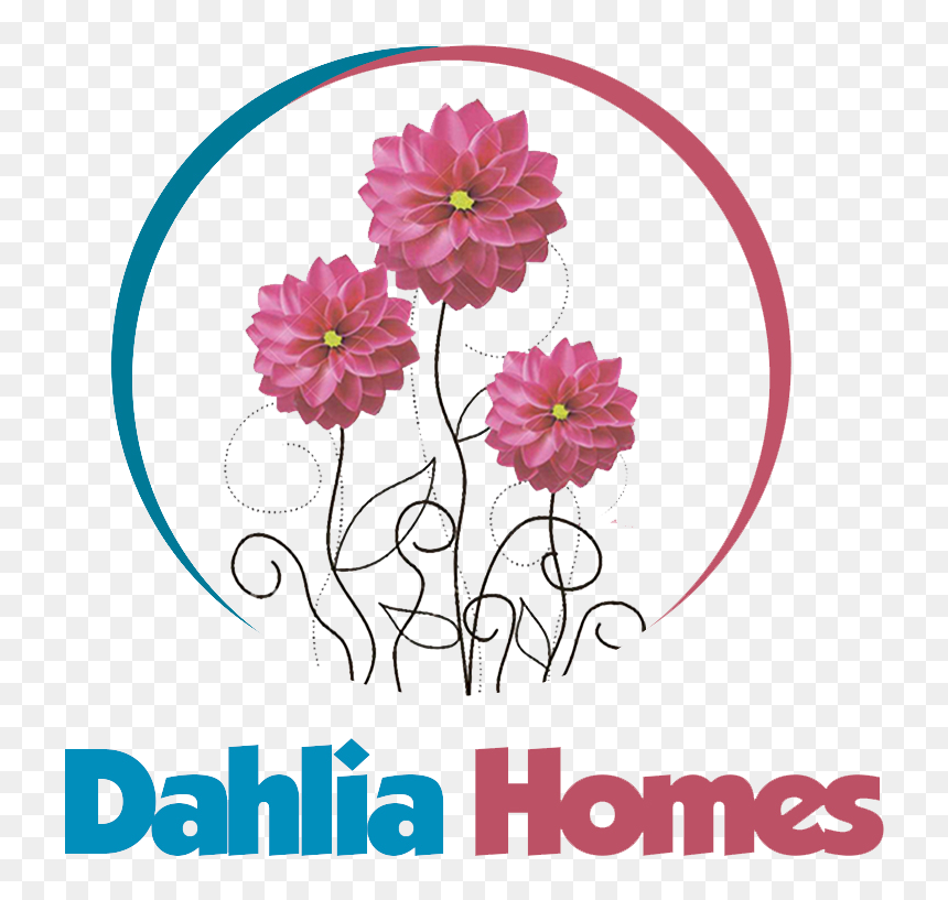 Transparent Dahlia Png - Daisy Family, Png Download - dahlia flower png