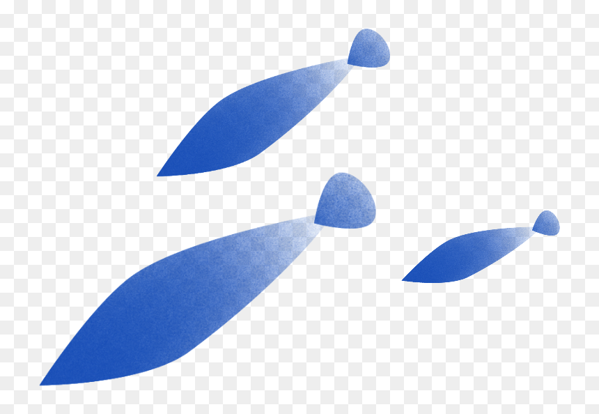 Fish Design - Fin, HD Png Download - fish group png