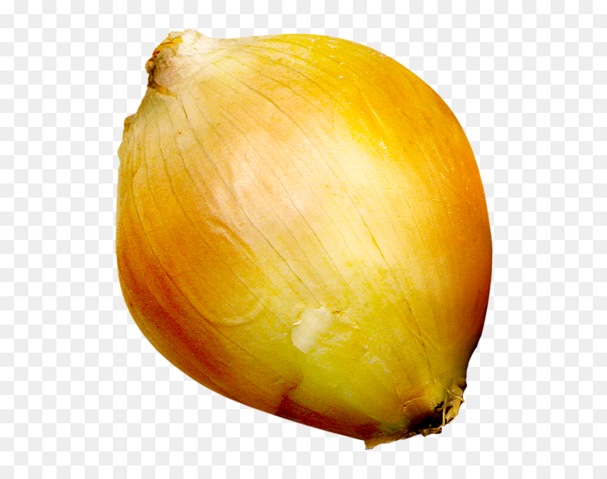 Onion Still Life Photography Fruit - Onion, HD Png Download - onion png images
