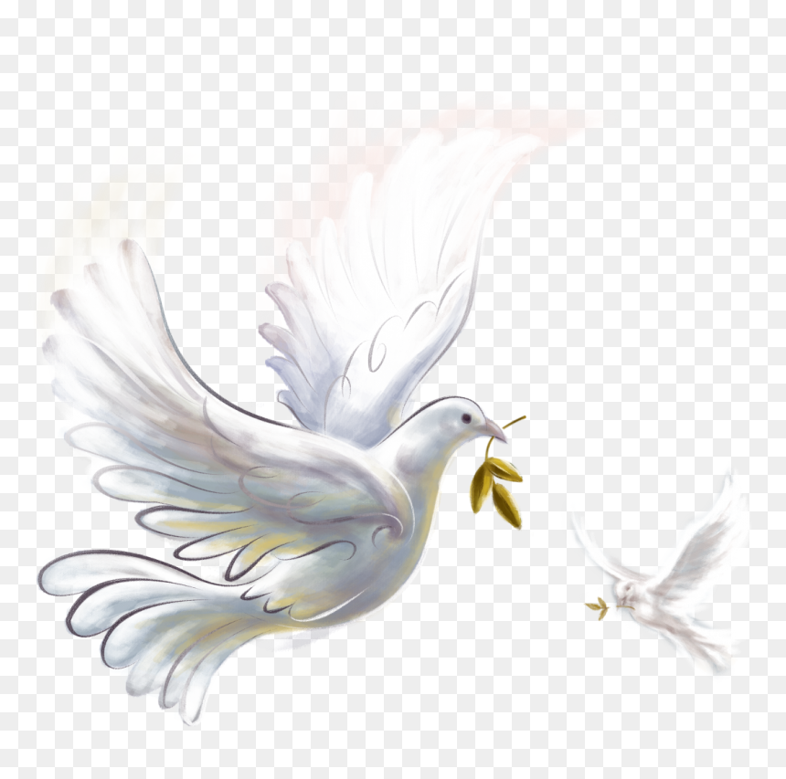 Pigeon Png - Peace On Earth 2020, Transparent Png - pigeons flying png