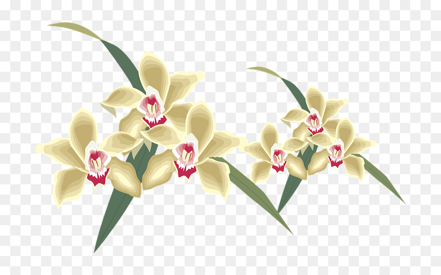 Elegant Flower Shop Logo, HD Png Download - nature clipart png