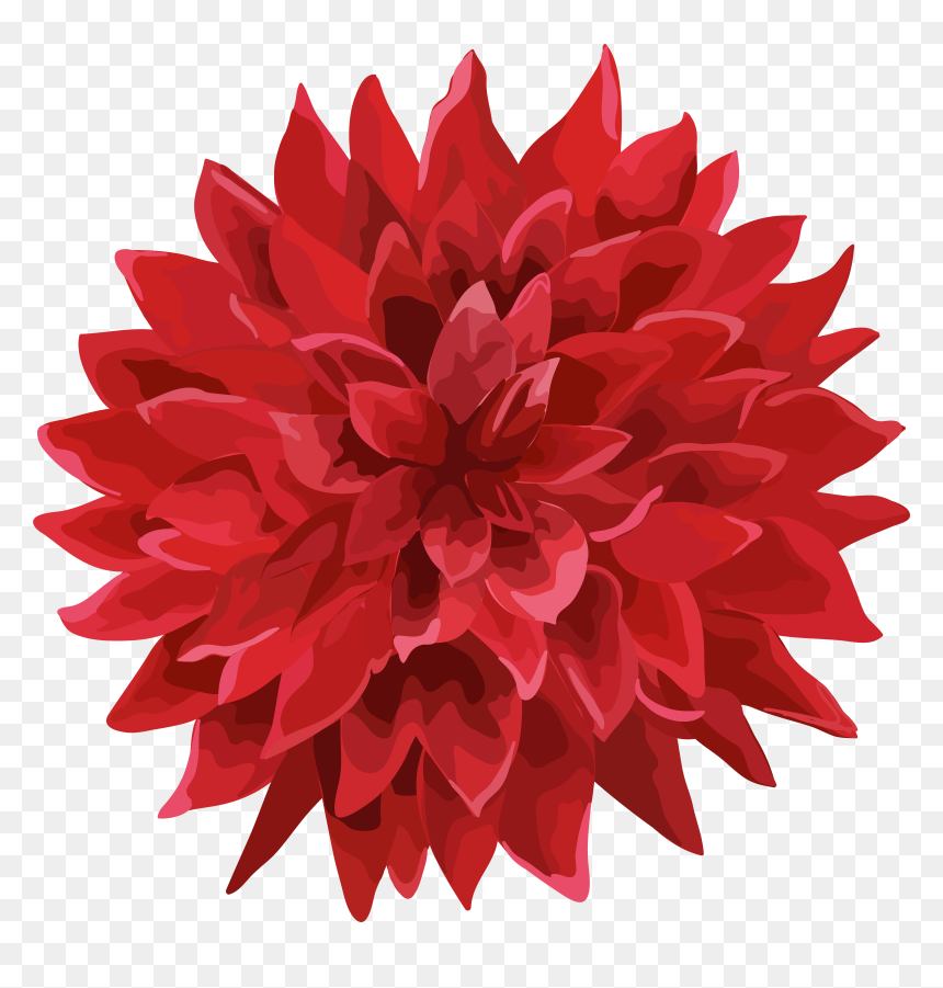 Dahlia Flower Png , Png Download, Transparent Png - dahlia flower png