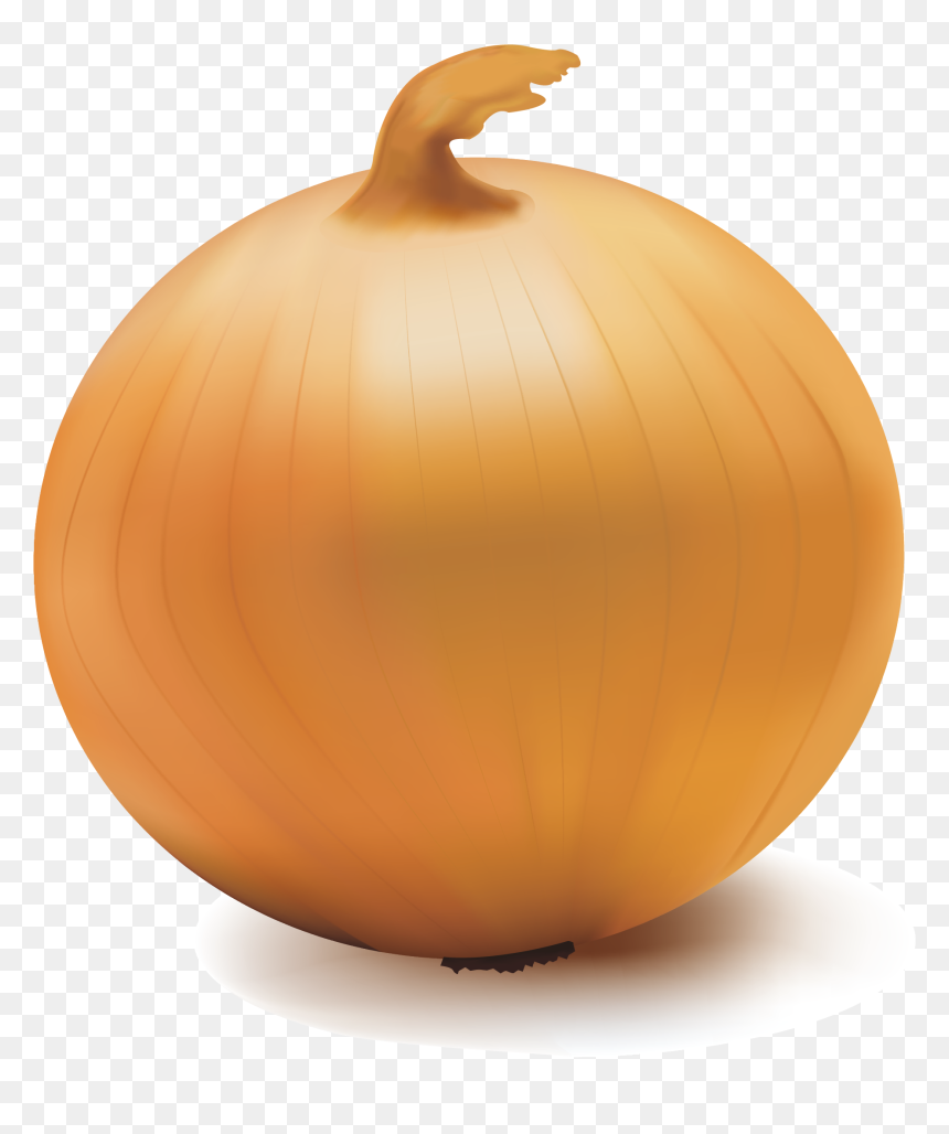 Pumpkin Calabaza Onion Vegetable - Transparent Background Clipart Onion, HD Png Download - onion png images