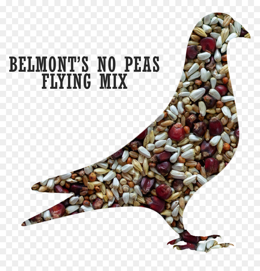 Belmont"s No Peas Flying Pigeon Mix"
 Title="belmont"s - Mix Peas For Pigeons, HD Png Download - pigeons flying png