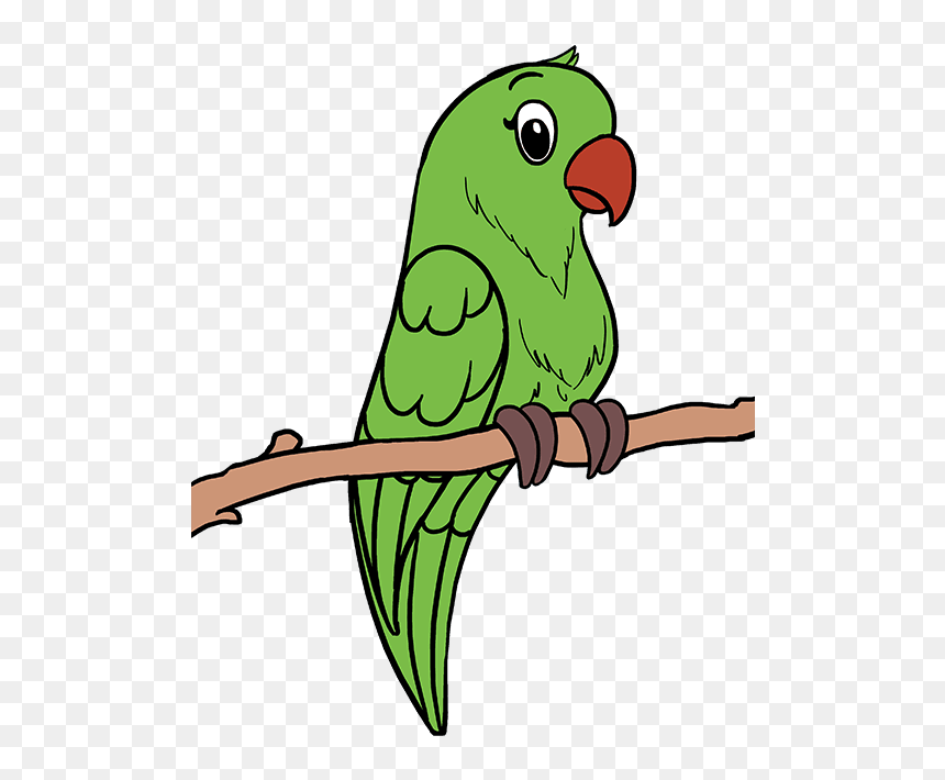 Drawing Feather Parrot - Parrot Images For Drawing, HD Png Download - green parrot png