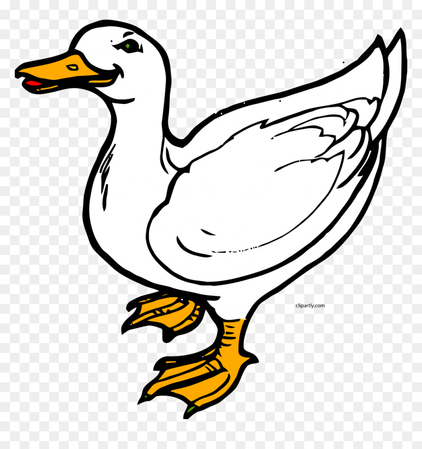 Clip Art Of Duck, HD Png Download - white duck png