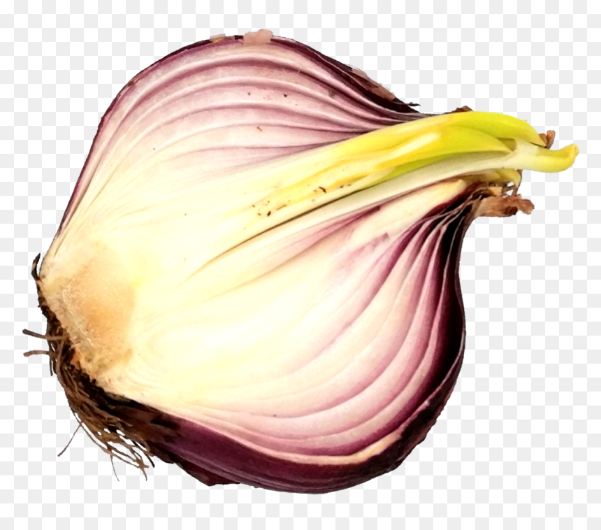 Sliced Onion 6 - Red Onion, HD Png Download - onion.png
