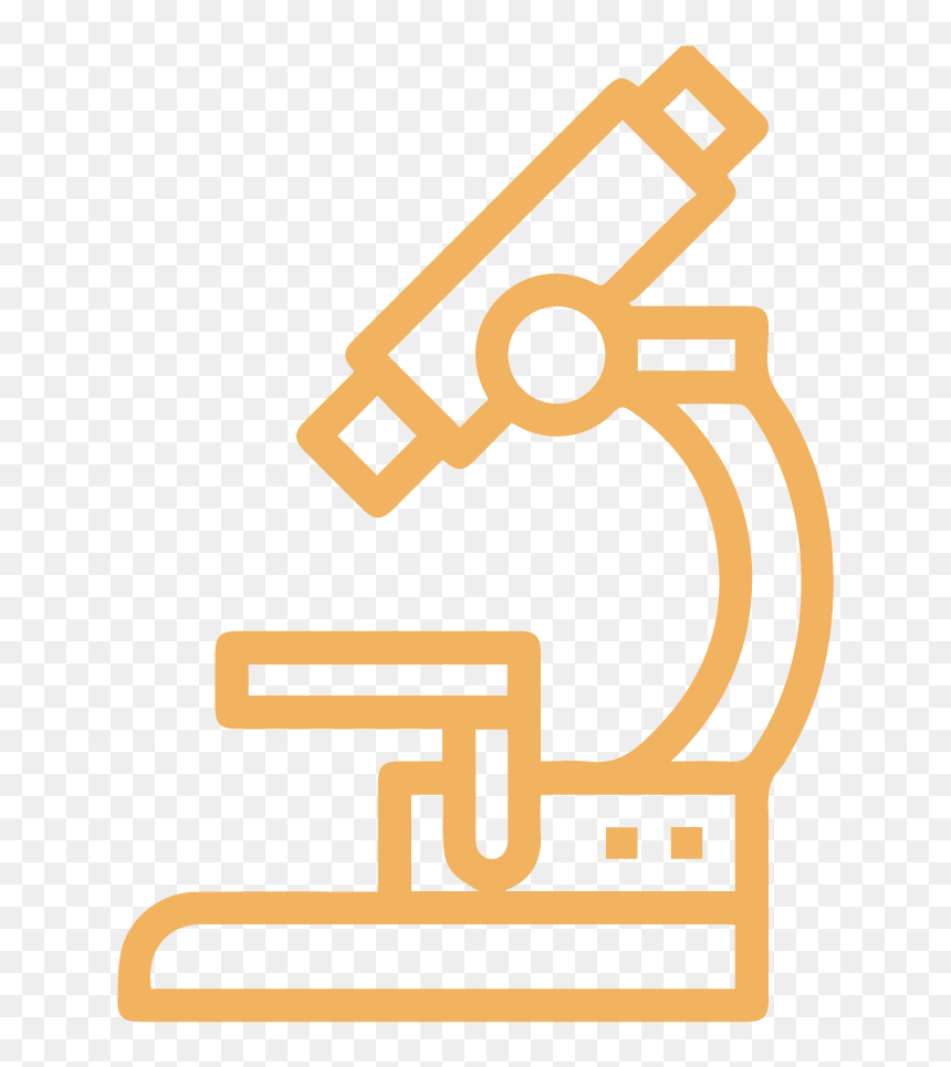 Null - Icon Microscope, HD Png Download - gulmohar tree png
