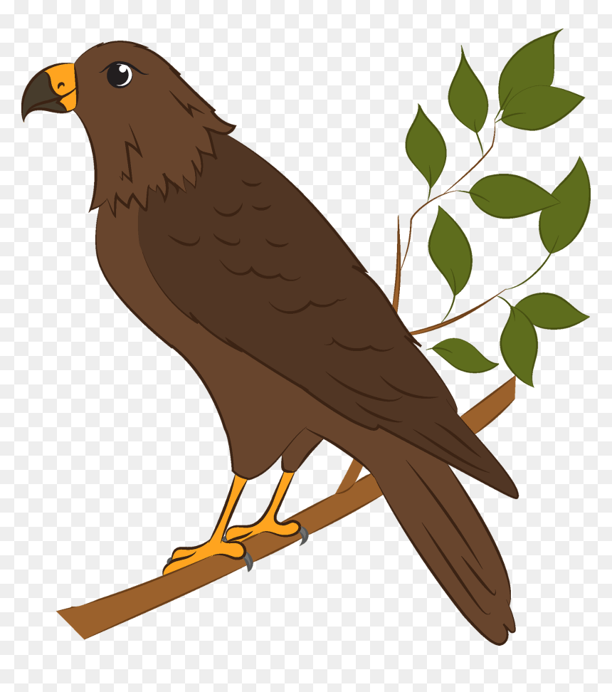 Falcon, HD Png Download - eagle sitting png