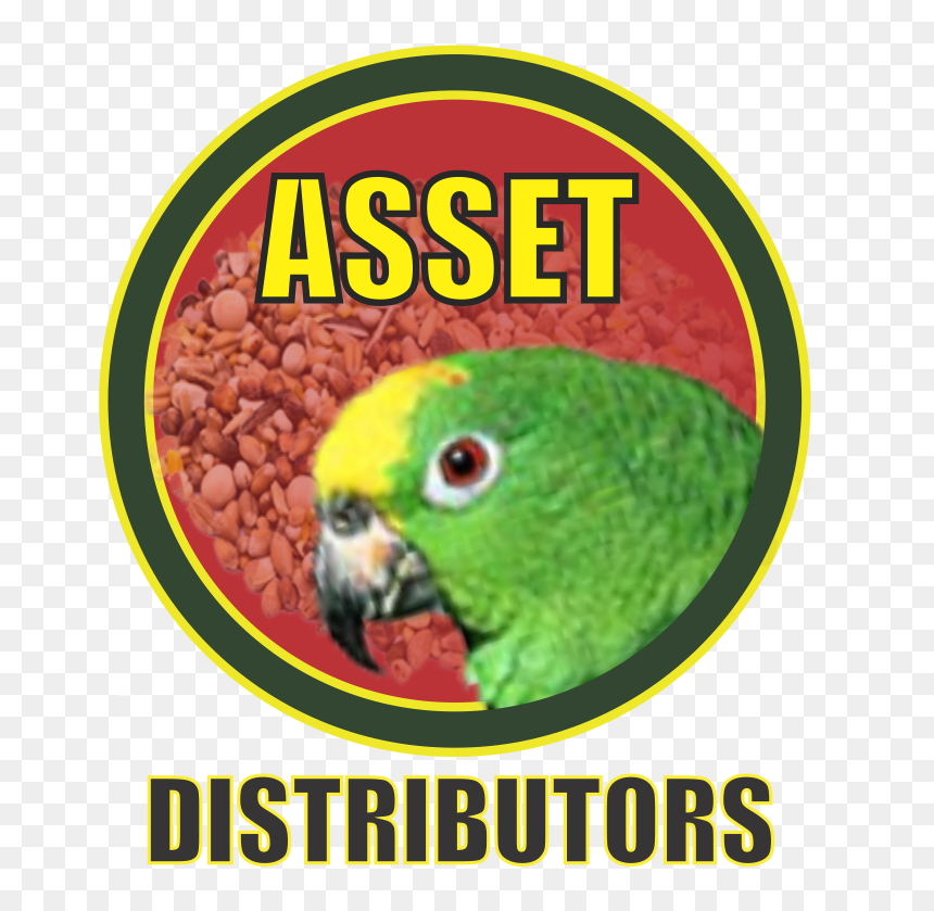 Asset Distributors - Parakeet, HD Png Download - green parrot png
