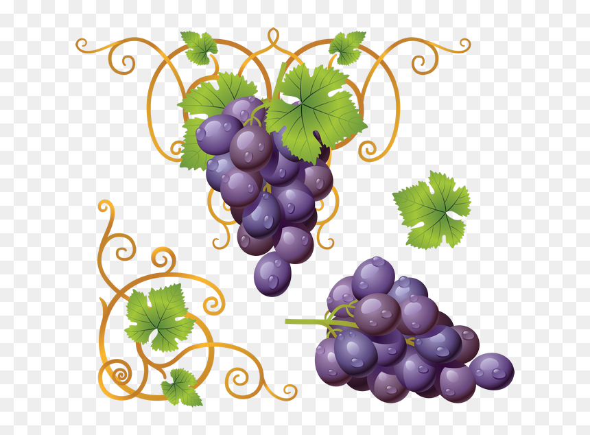 Grapes Clipart Png, Transparent Png - grapes png images