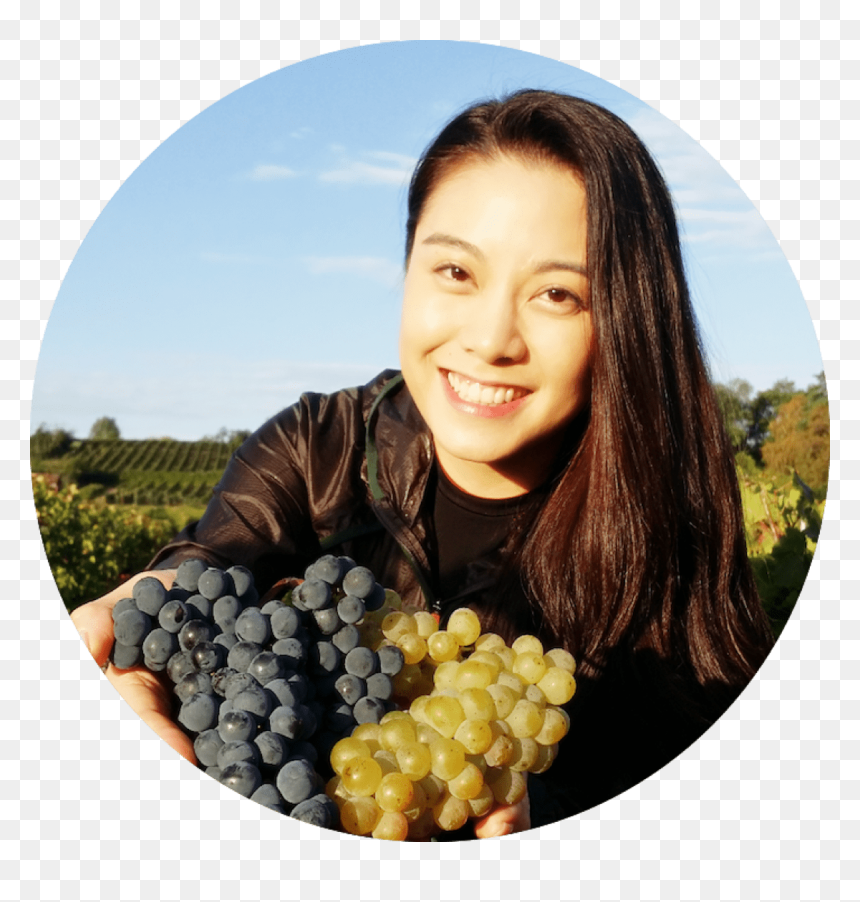 Right At The End Of Harvest For The White Grapes, And - Seedless Fruit, HD Png Download - grapes png images