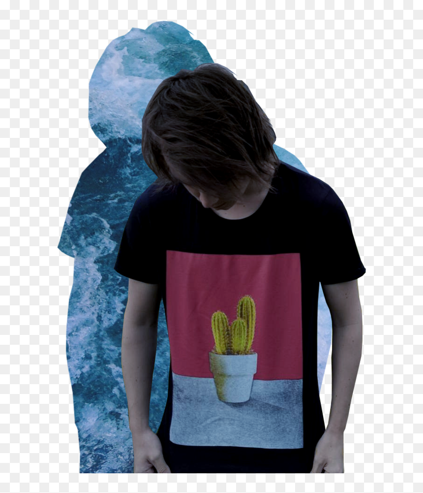Hedgehog Cactus, HD Png Download - nfkrz png