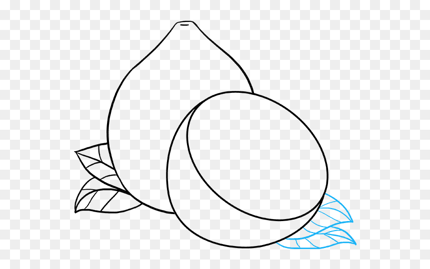 How To Draw Lemon - Line Art, HD Png Download - nimbu png