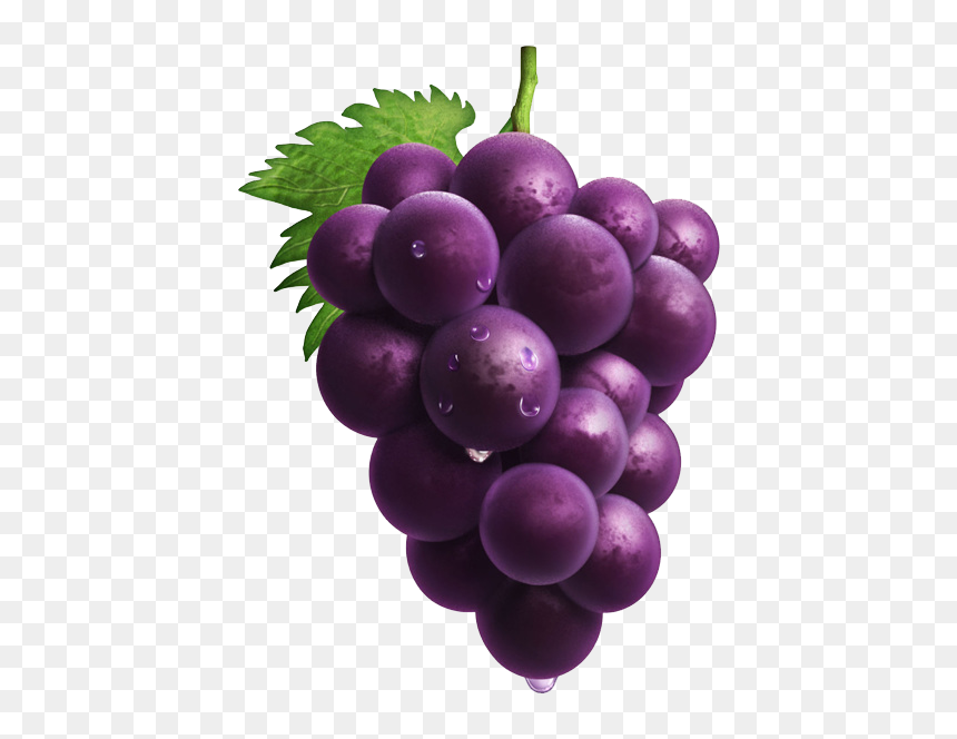 Hand-painted Purple Grapes Png Download, Transparent Png - grapes png images