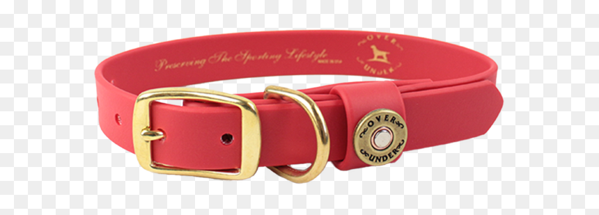 Water Dog Collar Red - Buckle, HD Png Download - dog belt png