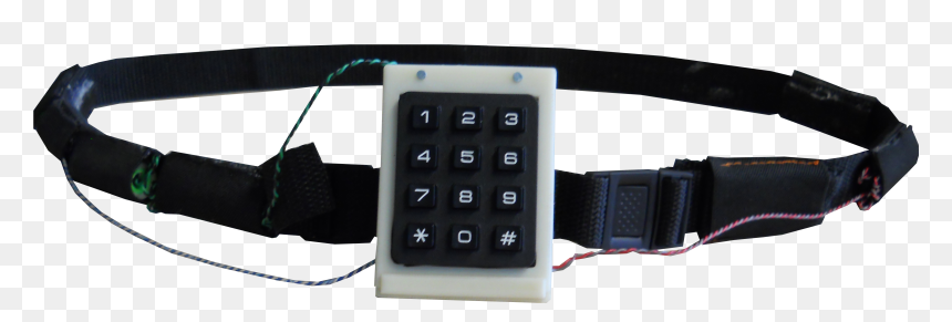 Belt, HD Png Download - dog belt png