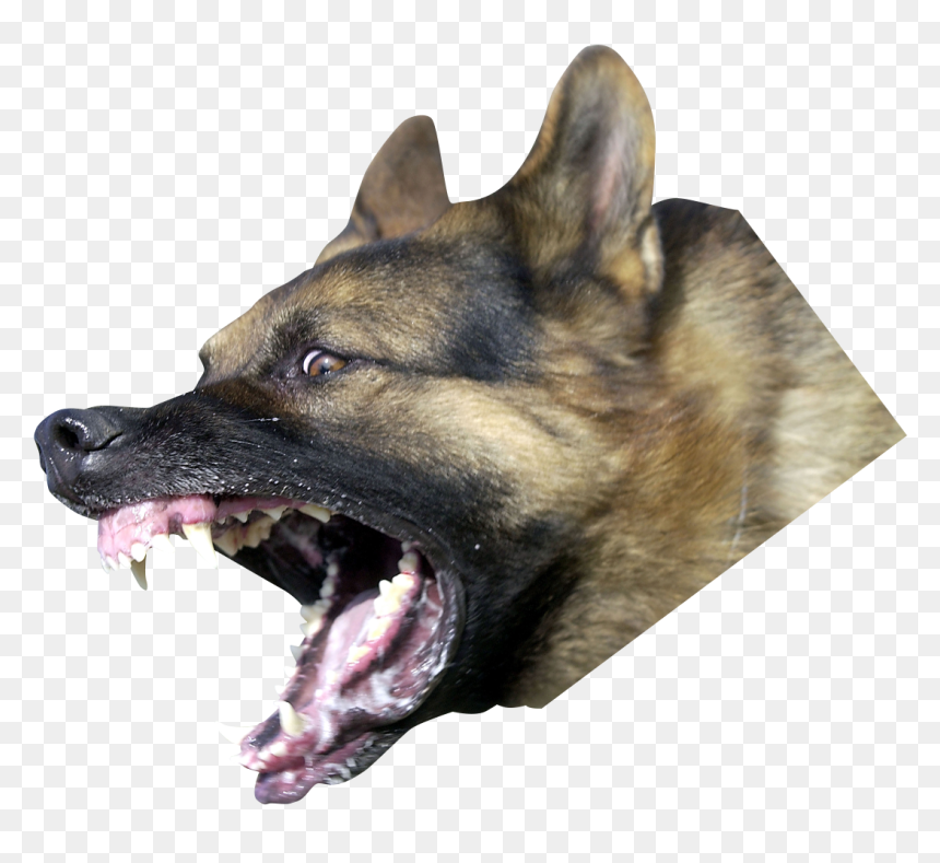 Dog Yawns, HD Png Download - dog png hd