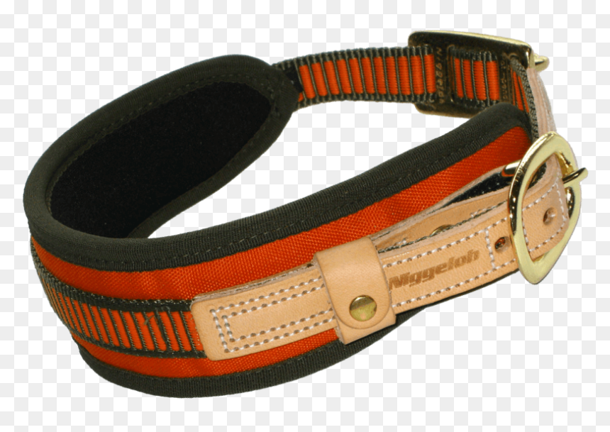 Blood Tracking Collar Size S - Strap, HD Png Download - dog belt png