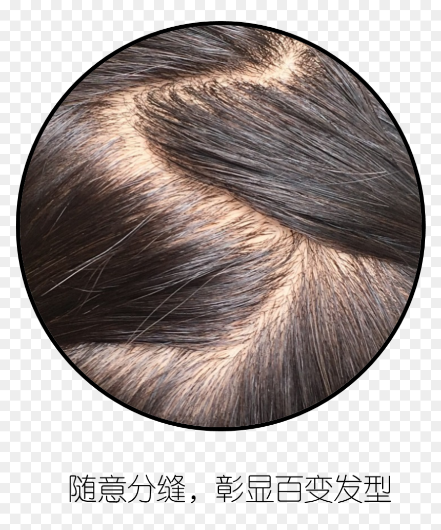Lace Wig, HD Png Download - seamless lace png