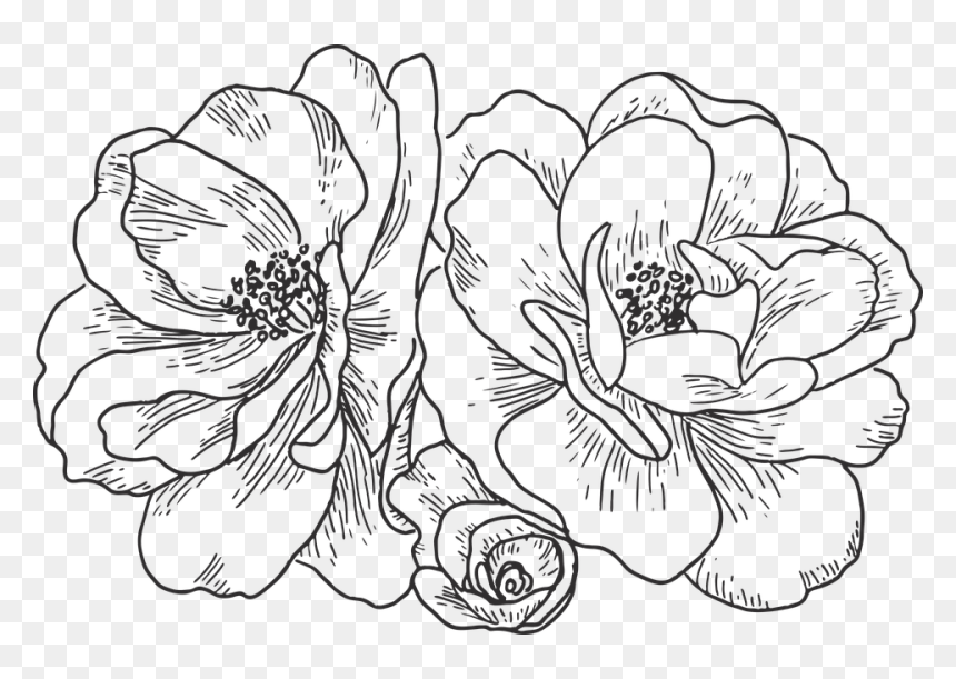 Line Art, HD Png Download - vector flower design png