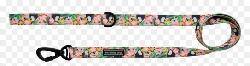 Big & Little Dogs "troppo Toucan - Big & Little Dogs, HD Png Download - dog belt png