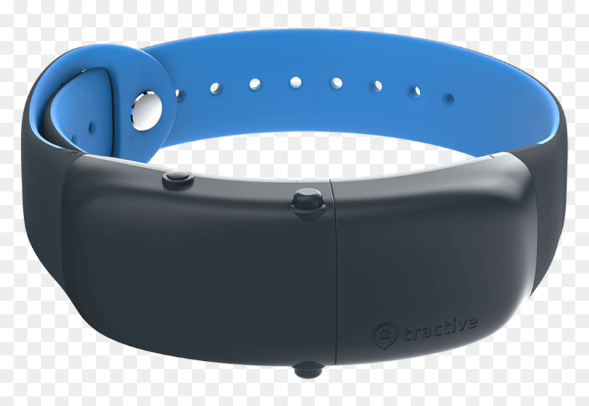 Tractive, HD Png Download - dog belt png