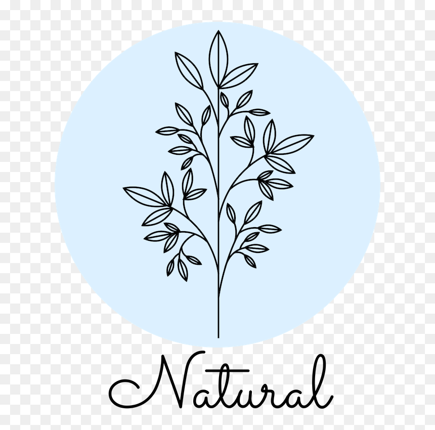 Transparent Cherry Blossom Clip Art - Circle, HD Png Download - gold floral design png