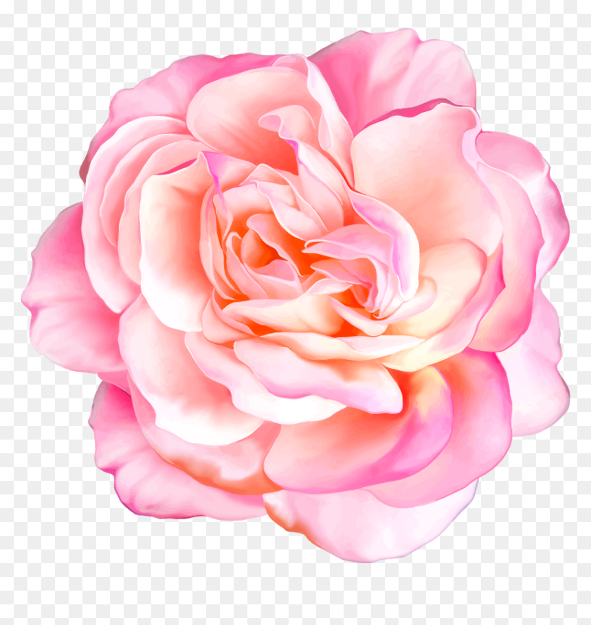Png Клипарт "beautiful Flowers - Realistic Flowers Png Transparent, Png Download - pink vector flowers png