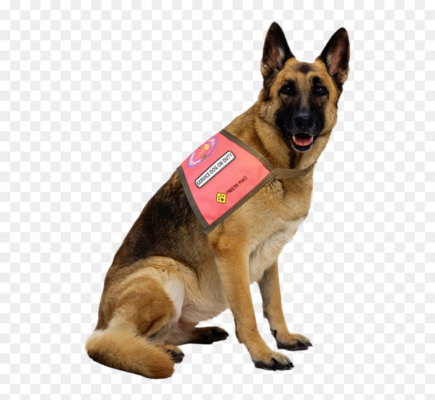 German Shepherd Dog Png, Transparent Png - service dog png