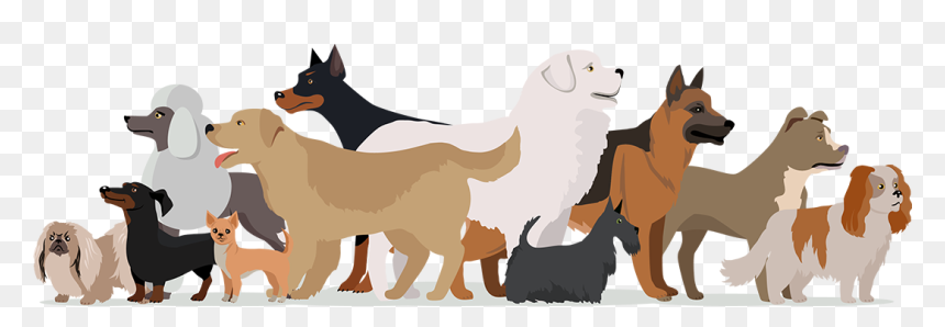 Dog, HD Png Download - service dog png