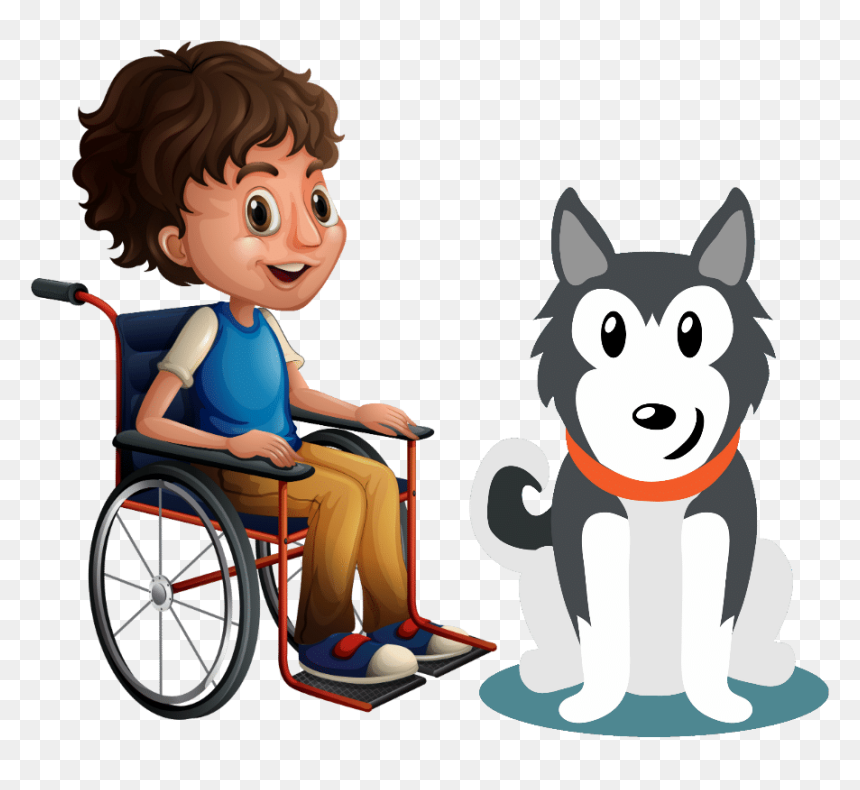 Husky Service Dog - Siberian Husky, HD Png Download - service dog png