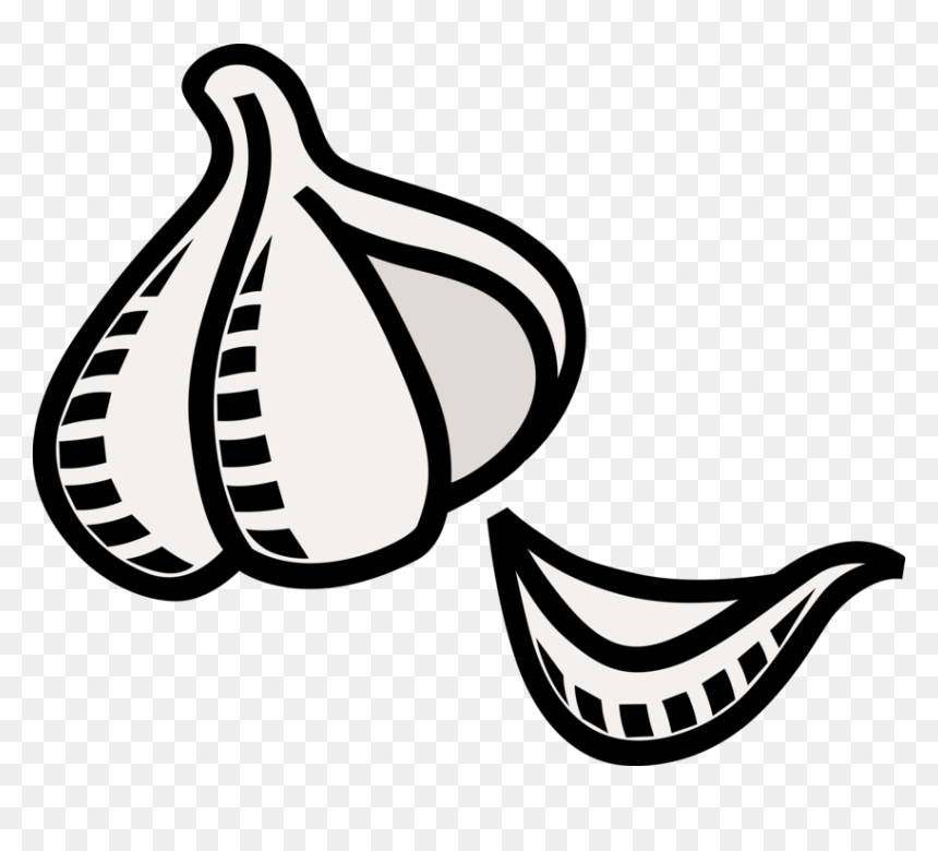 Vector Illustration Of Edible Pungent Culinary Bulb - Garlic, HD Png Download - bulb illustration png