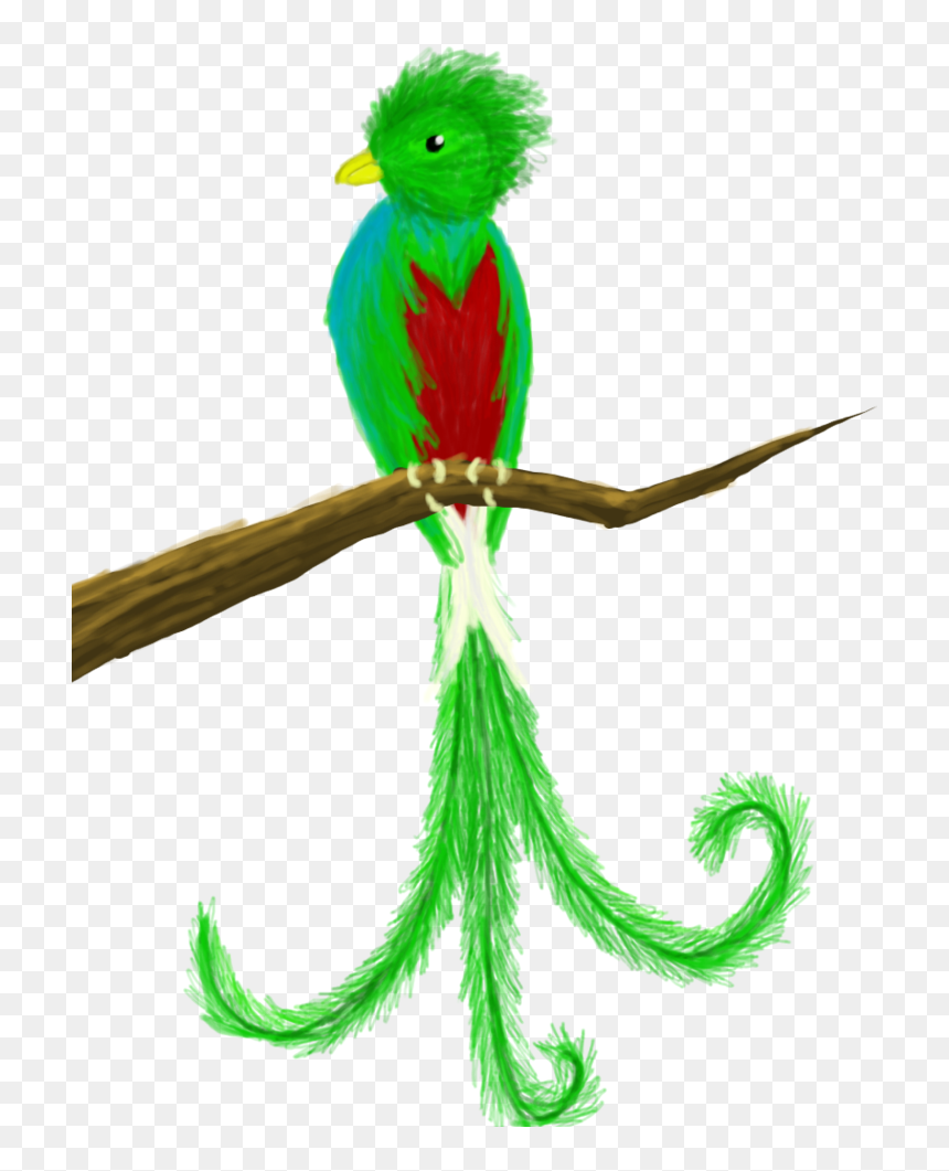 Quetzal Clipart Png , Png Download - Quetzal Clipart, Transparent Png - quetzal png