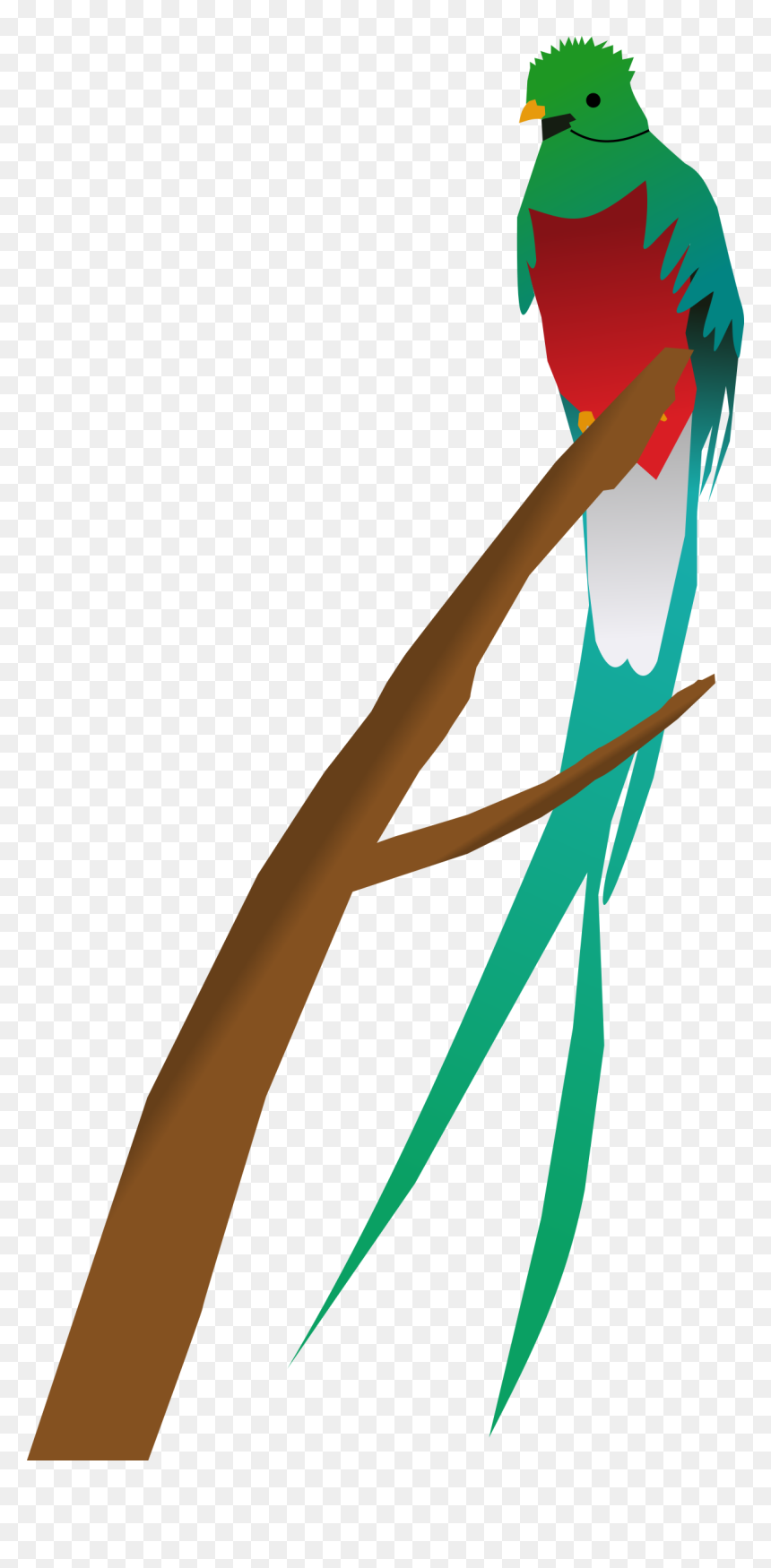 Png Download , Png Download - Clipart Quetzal, Transparent Png - quetzal png