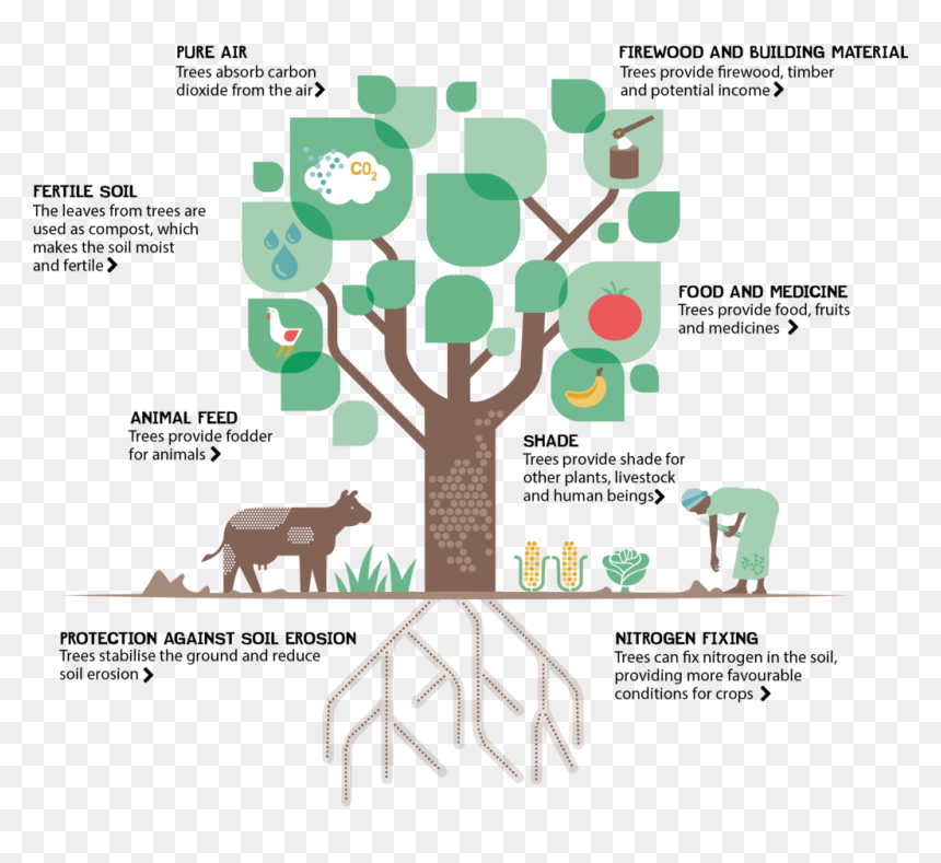 Climate Control And Trees, HD Png Download - carbon dioxide png