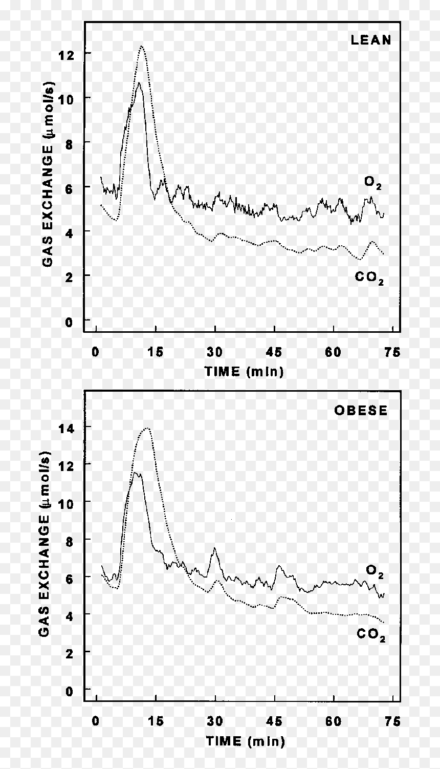 Oxygen And Carbon Dioxide In Excersise, HD Png Download - carbon dioxide png