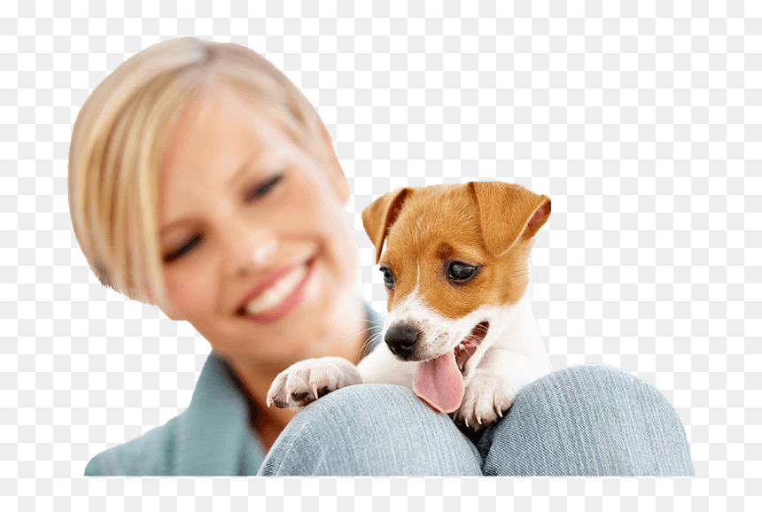 In Home Dog Training - Dog, HD Png Download - service dog png