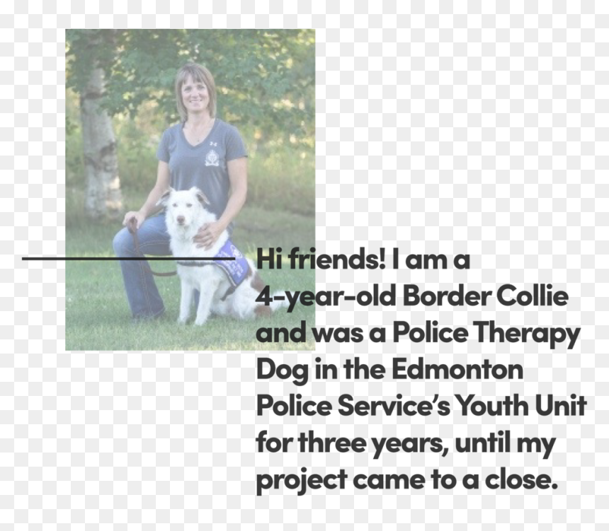 A4yc Blog 2019 9 25 Val Hoglund A Story Written By - Companion Dog, HD Png Download - service dog png