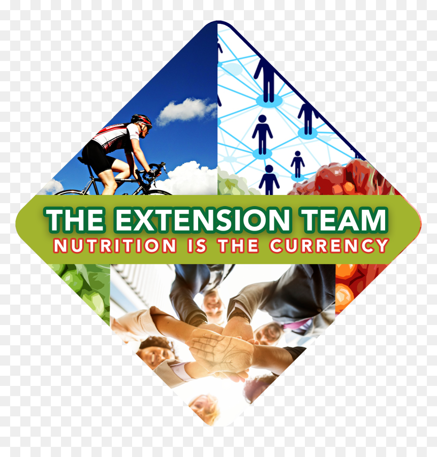 Our Extension Team Logo - Windsurfing, HD Png Download - youngevity logo png