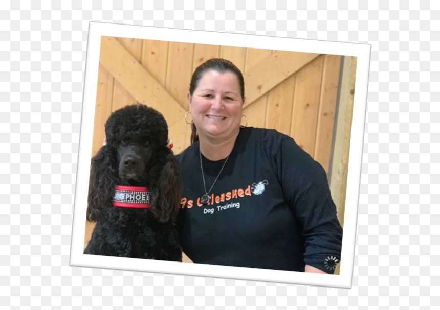 Standard Poodle, HD Png Download - service dog png