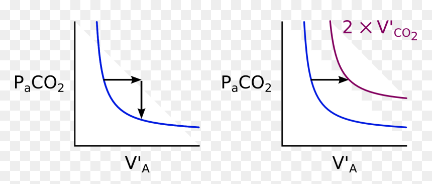 Graphic Design, HD Png Download - carbon dioxide png