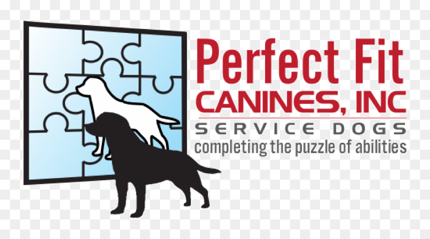 Dog Catches Something, HD Png Download - service dog png