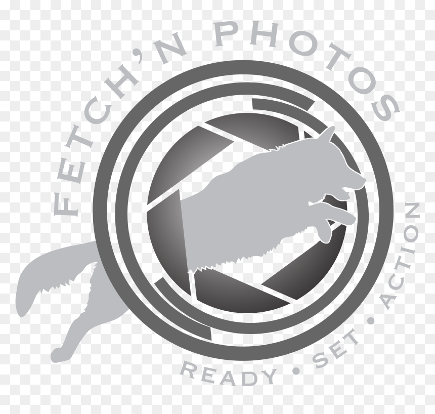 Fetch "n Photos - Emblem, HD Png Download - noah's ark png